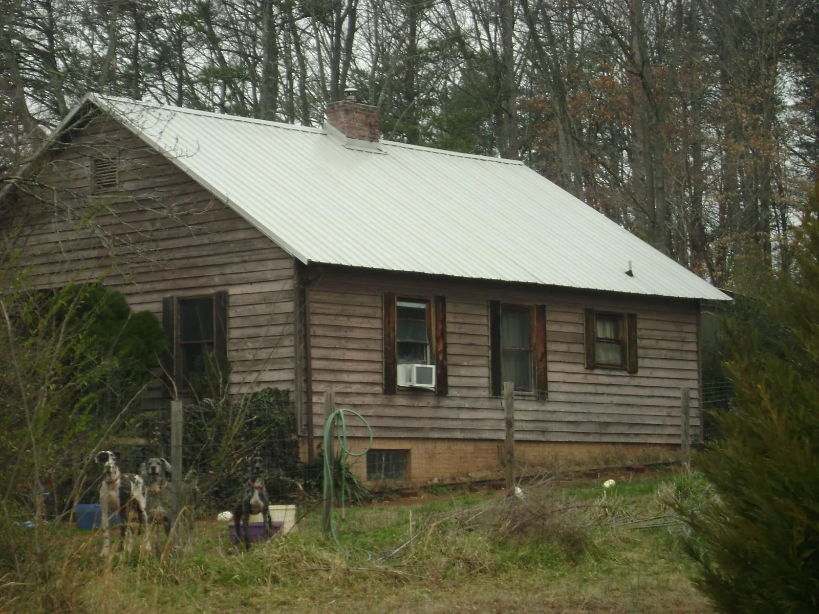 White metal roof on an old wood sided farmhouse, from a Asphalt Shingle Roof Repair job in Mather